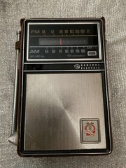 General Electric AM/FM Radio AM/FM Leather Case P-975B Tested Working See Video