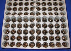 NOS Tungsram EBF89 / 6DC8 Vacuum Tube
