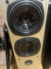Tannoy Saturn S6 Champagne Tower Speakers – Audiophile British Design,