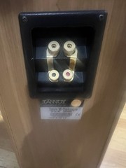 Tannoy Saturn S6 Champagne Tower Speakers – Audiophile British Design,