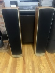 Tannoy Saturn S6 Champagne Tower Speakers – Audiophile British Design,