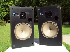 Pioneer CS-G1000, 2-Way Bass Reflex, stereo speakers (MODIFIED)