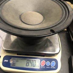 Replacement Generic/unbranded 10&Prime; Woofer Speakers (pair)