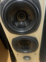 Tannoy Saturn S6 Champagne Tower Speakers – Audiophile British Design,