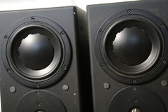 Vintage Paragon Acoustics The Radiant Floor standing Tower Speakers Dynadio Pair