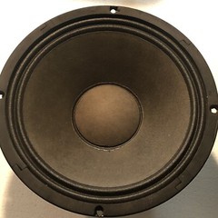 Replacement Generic/unbranded 10&Prime; Woofer Speakers (pair)