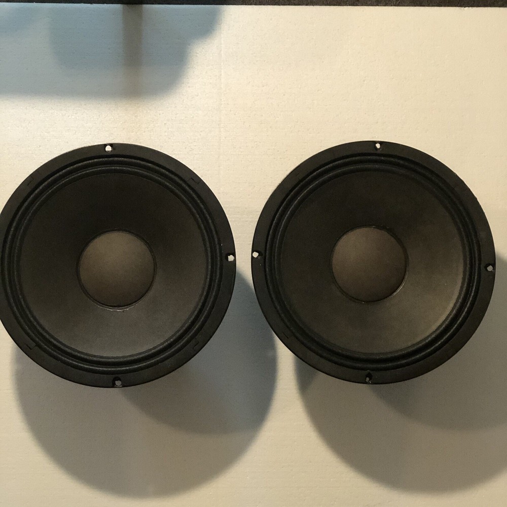 Replacement Generic/unbranded 10&Prime; Woofer Speakers (pair)