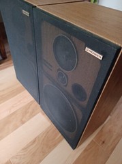 Pioneer CS-G303 Speakers, Pair