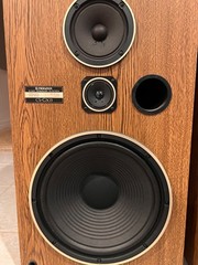 Pioneer CS G-303 Home speakers