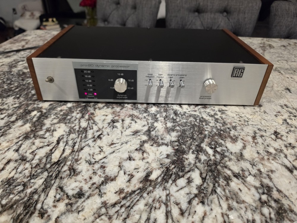 Vintage RG Pro-20 Stereo Dynamic Processor ( Read Description)