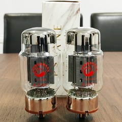 PSVANE KT88C Matched Pair 2PCS Vacuum Tube Replace KT88 6550 HiFi Guitar Audio