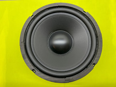 EPI Model 100V Speaker Woofer Replacement New Driver Free Shipping