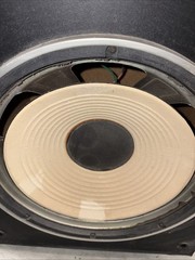 Pioneer CS-G301wa Speaker Single Speaker With Cover