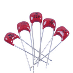 5pcs 5mm MICA Capacitor 22pF 500V Radial Silver Voltage fr Tube Guitar Amplifier