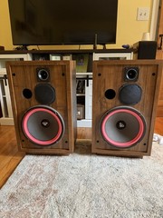 Cerwin Vega D-5 Speakers