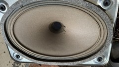 Telefunken Concertino 5384W Complete Speaker Assembly Tested