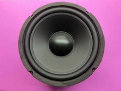 Bose 301 II 301 Series II Woofer Replacement New Driver Free Shipping
