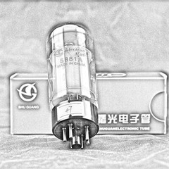 5881A 6L6 / Matched Pair / ShuGuang / Vacuum Tube /Valve Amplifier/ Original Box