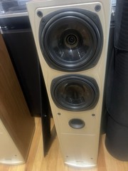 Tannoy Saturn S6 Champagne Tower Speakers – Audiophile British Design,