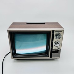 DEFECTIVE Vintage Quasar 10 CRT Color TV UP2133WW Wood Grain 1985 Retro G3D