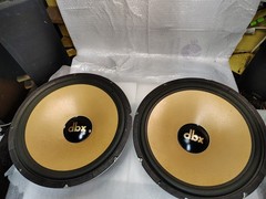 DBX 15&Prime; woofers, possible out of Soundfield V series, MPW 15890618-1F, one pair