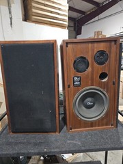 Walsh Ohm C2 Speakers