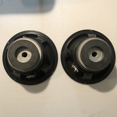 Replacement Generic/unbranded 10&Prime; Woofer Speakers (pair)