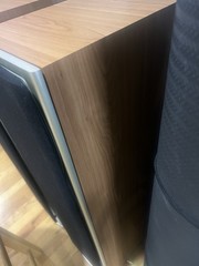 Tannoy Saturn S6 Champagne Tower Speakers – Audiophile British Design,