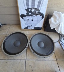 JBL PR15 15&Prime; Passive radiator – Excellent condition – Pair