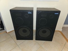 Pioneer CS-G301WA II Speakers – Pair