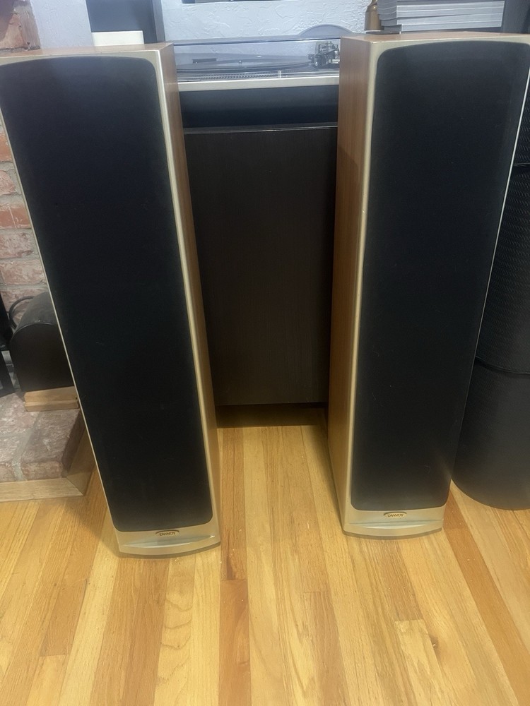 Tannoy Saturn S6 Champagne Tower Speakers – Audiophile British Design,