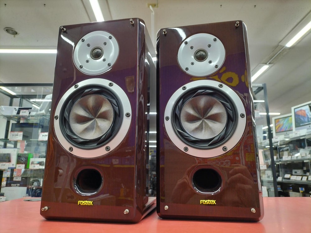 Fostex G1300 Bookshelf Speaker Pair Pure Magnesium Tweeter Tested TMB01 11.5/PC