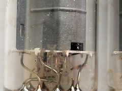 2x Philips Miniwatt EL84 6BQ5 D-getter Tubes – Sittard, NL 1955 rX1/rX2 – NOS