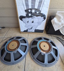 JBL PR15 15&Prime; Passive radiator – Excellent condition – Pair
