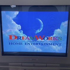 SV2000 WV20D5 20&Prime; Flat CRT TV Built-In DVD Player Combo Y2K – TESTED – No Remote