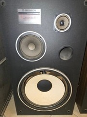 Pioneer CS-G301WA II Speakers – Pair