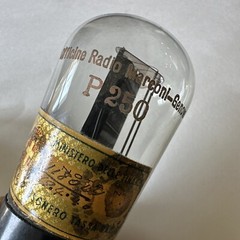 Rare P250 marconi power tube