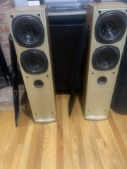 Tannoy Saturn S6 Champagne Tower Speakers – Audiophile British Design,